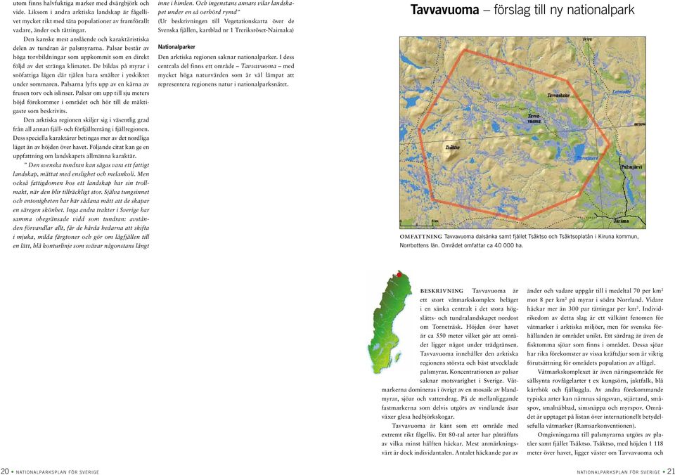 De bildas på myrar i snöfattiga lägen där tjälen bara smälter i ytskiktet under sommaren. Palsarna lyfts upp av en kärna av frusen torv och islinser.