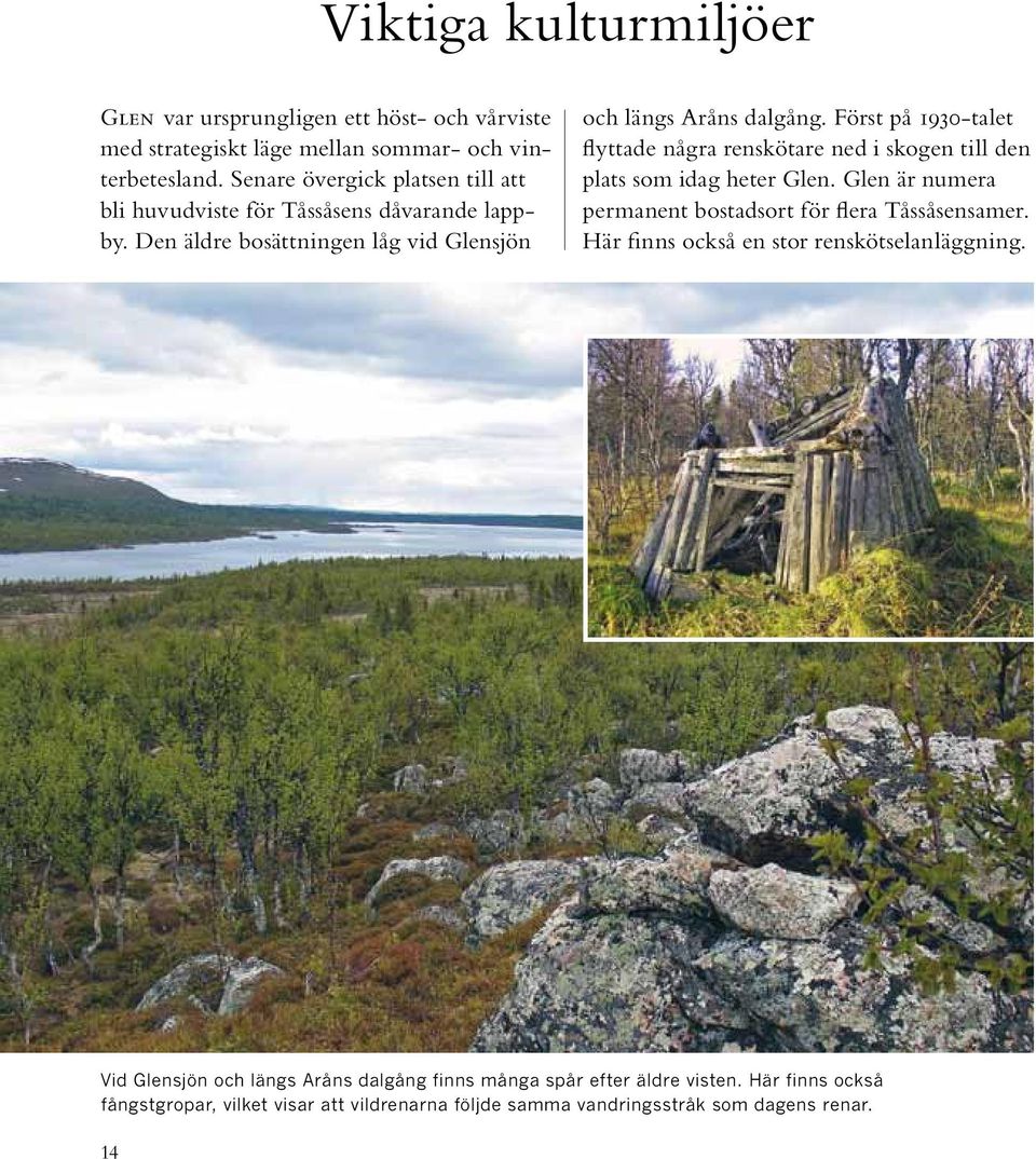 Först på 1930-talet flyttade några renskötare ned i skogen till den plats som idag heter Glen. Glen är numera permanent bostadsort för flera Tåssåsensamer.