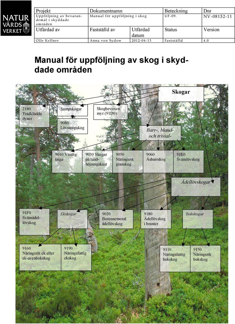 0 Version Manual för uppföljning av skog i skyddade områden Skogar 2180 Trädklädda dyner Sumpskogar 9080 Lövsumpskog Skogbevuxen myr (91D0) Barr-, blandoch triviallövskogar 9010 Västlig