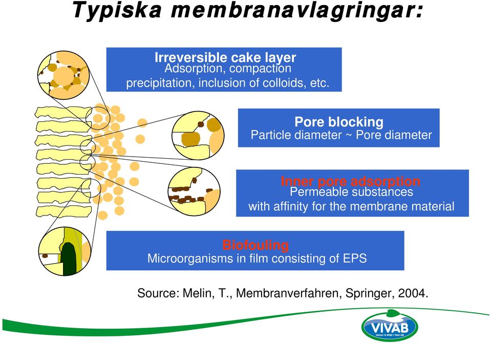 Pore blocking Particle diameter ~ Pore diameter Inner pore adsorption Permeable