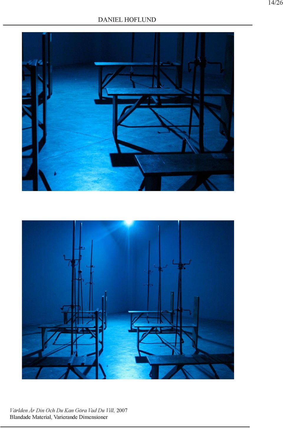 Vill, 2007 Blandade