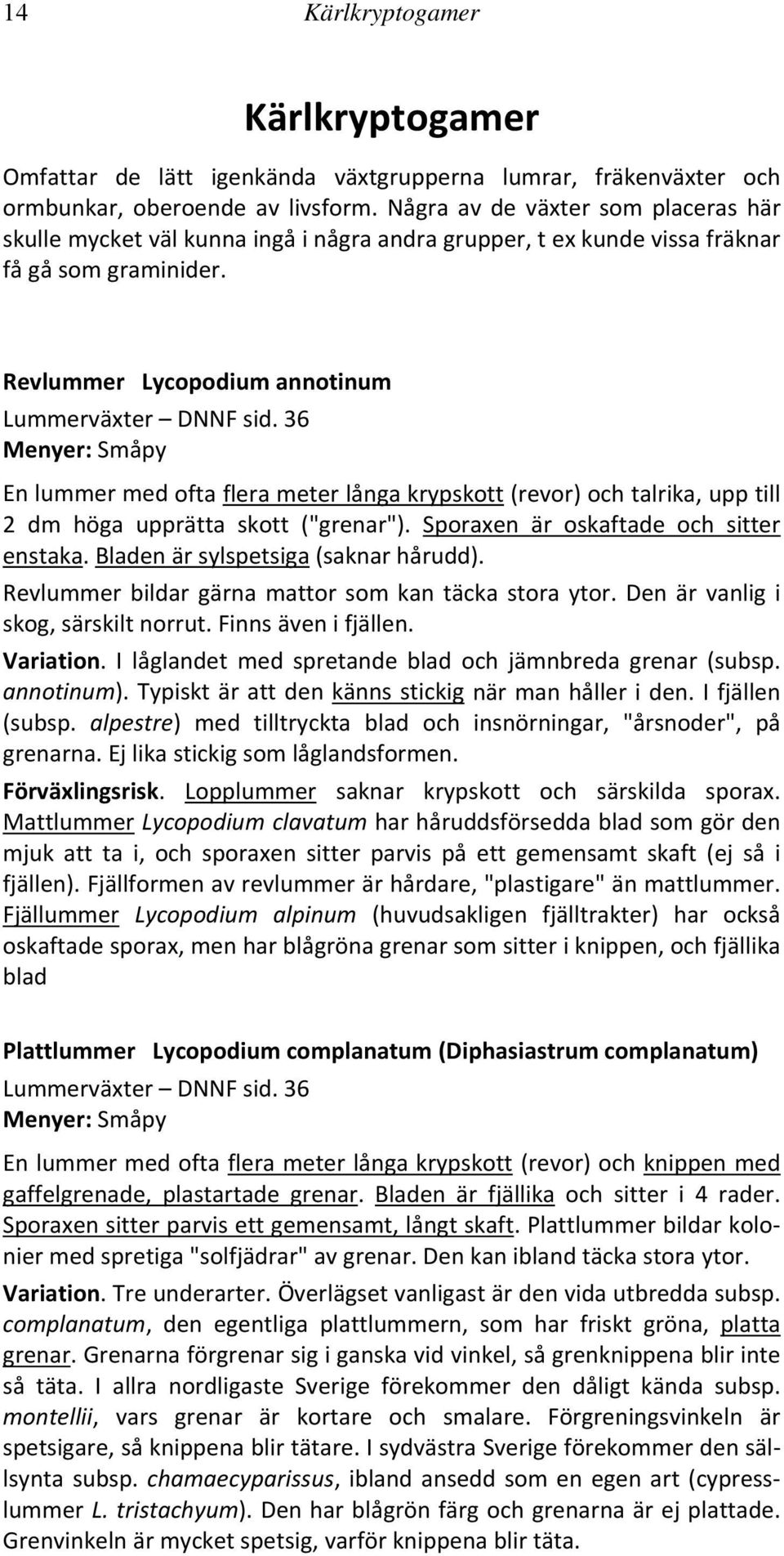 36 En lummer med ofta flera meter långa krypskott (revor) och talrika, upp till 2 dm höga upprätta skott ("grenar"). Sporaxen är oskaftade och sitter enstaka. Bladen är sylspetsiga (saknar hårudd).