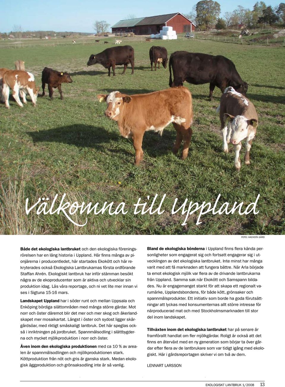 Ekologiskt lantbruk har inför stämman besökt några av de ekoproducenter som är aktiva och utvecklar sin produktion idag. Läs våra reportage, och ni vet lite mer innan vi ses i Sigtuna 15-16 mars.