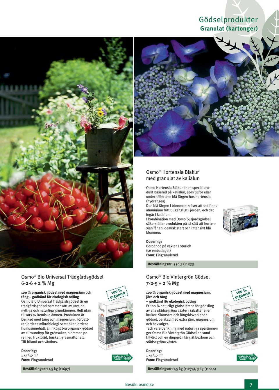 I kombination med Osmo Surjordsgödsel säkerställer produkten på så sätt att hortensian får en ideali start och intensivt blå blommor.
