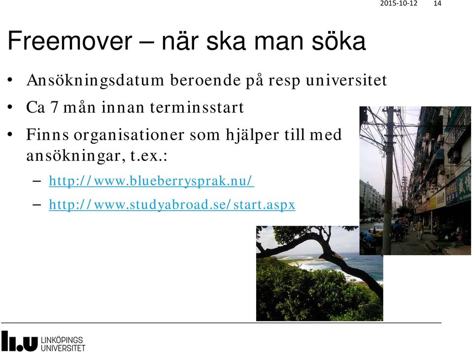 Finns organisationer som hjälper till med ansökningar, t.ex.