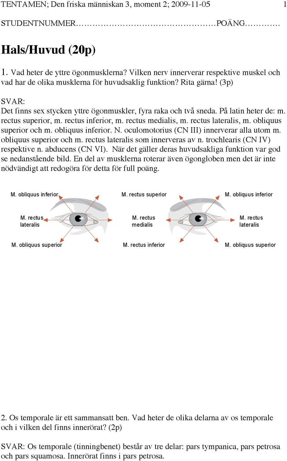 På latin heter de: m. rectus superior, m. rectus inferior, m. rectus medialis, m. rectus lateralis, m. obliquus superior och m. obliquus inferior. N. oculomotorius (CN III) innerverar alla utom m.