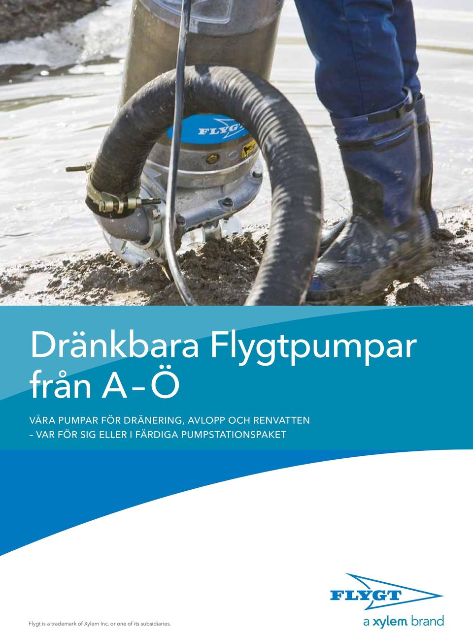 eller i färdiga pupstationspaket Flygt is a