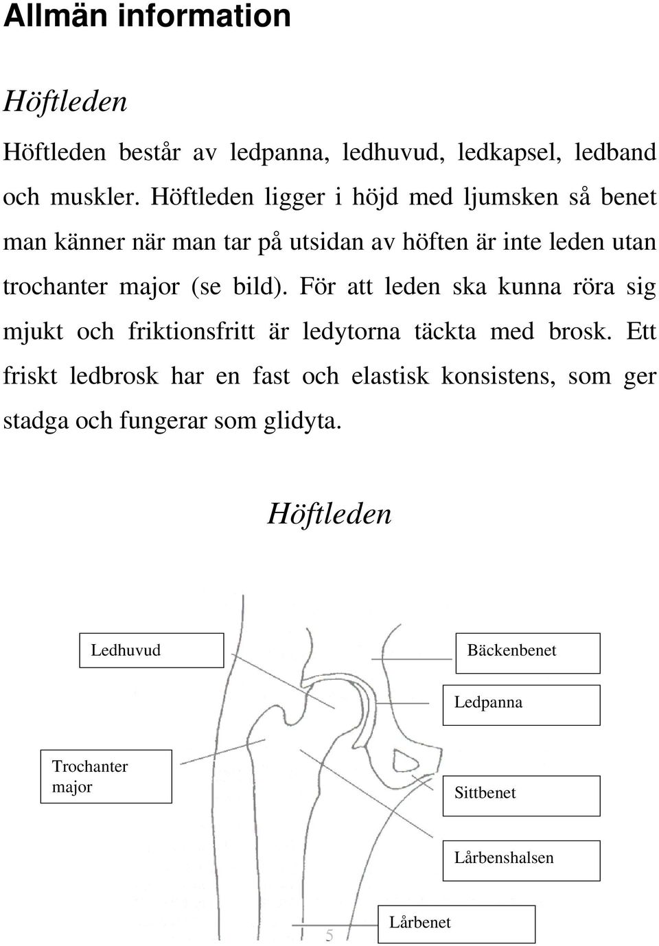 (se bild). För att leden ska kunna röra sig mjukt och friktionsfritt är ledytorna täckta med brosk.