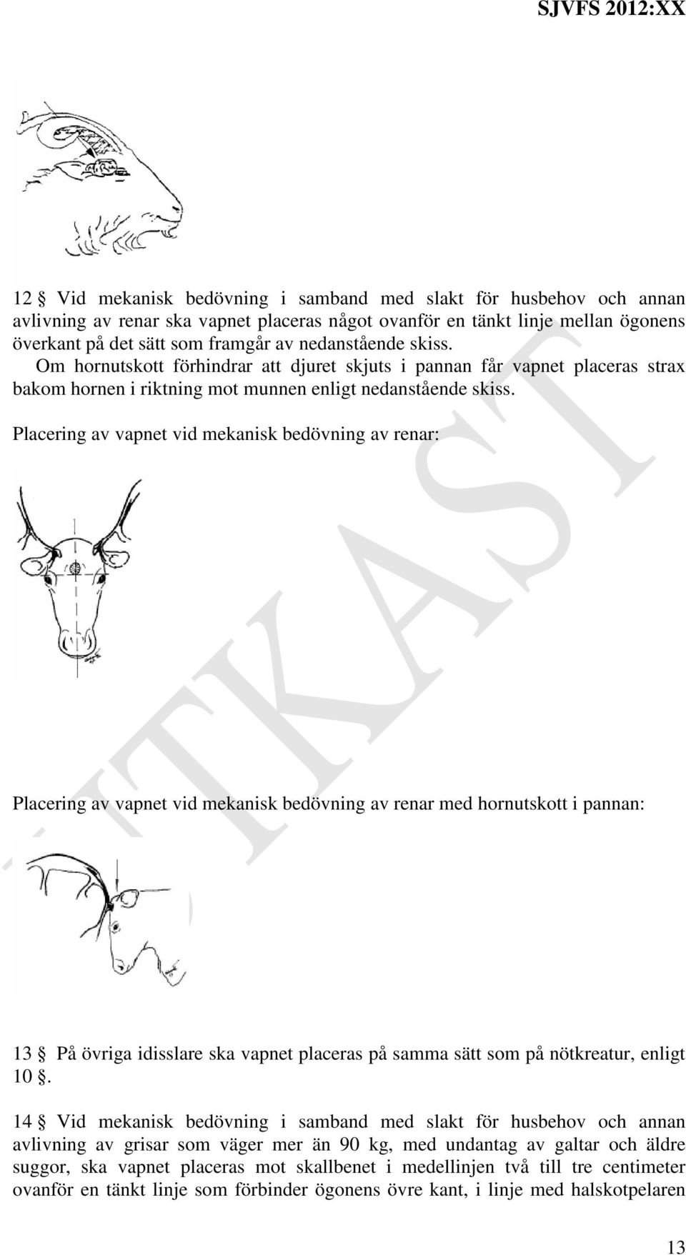Placering av vapnet vid mekanisk bedövning av renar: Placering av vapnet vid mekanisk bedövning av renar med hornutskott i pannan: 13 På övriga idisslare ska vapnet placeras på samma sätt som på