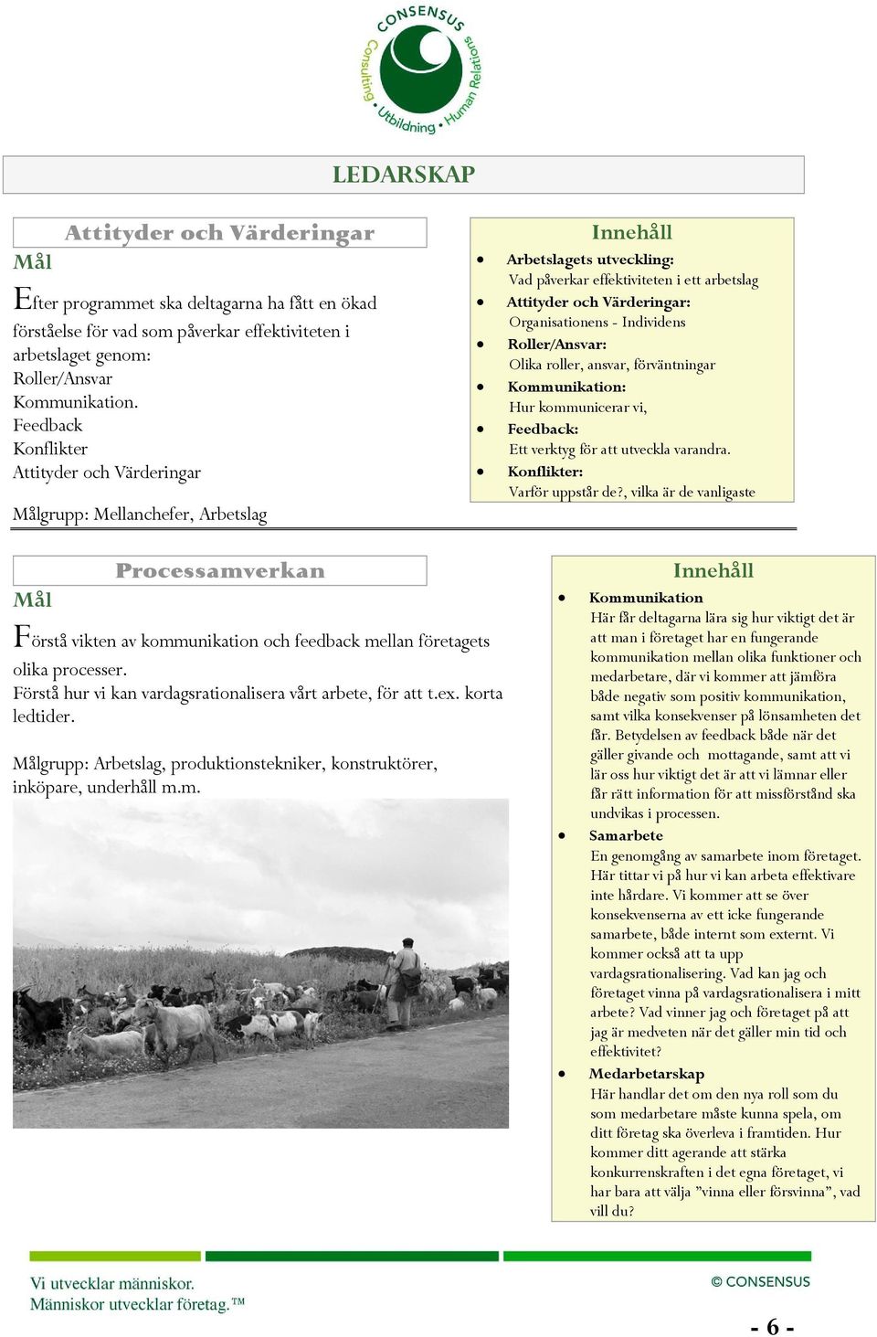 Individens Roller/Ansvar: Olika roller, ansvar, förväntningar Kommunikation: Hur kommunicerar vi, Feedback: Ett verktyg för att utveckla varandra. Konflikter: Varför uppstår de?