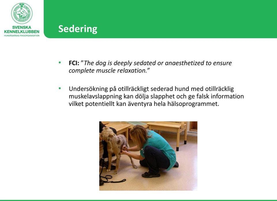 Undersökning på otillräckligt sederad hund med otillräcklig