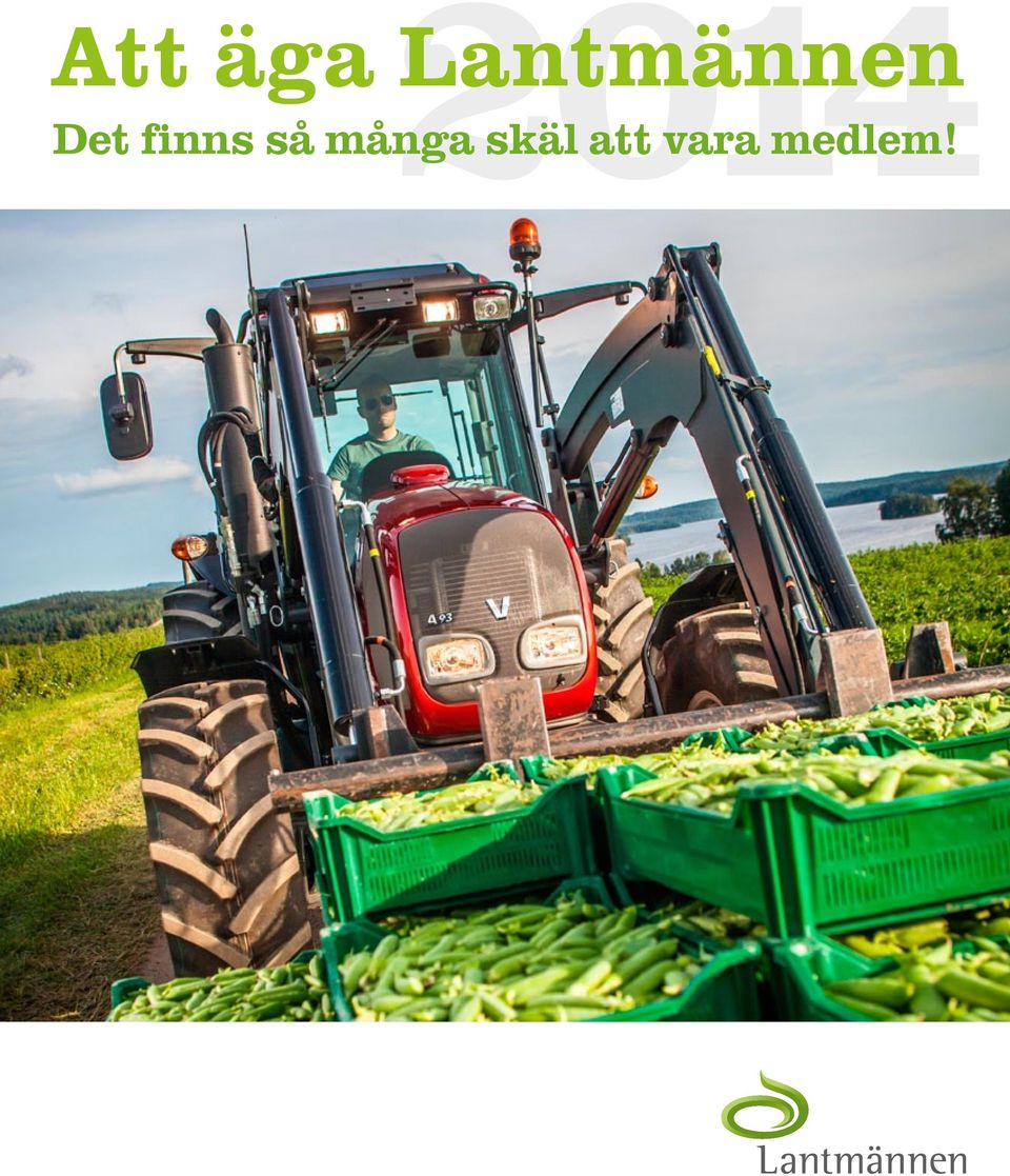 finns så många