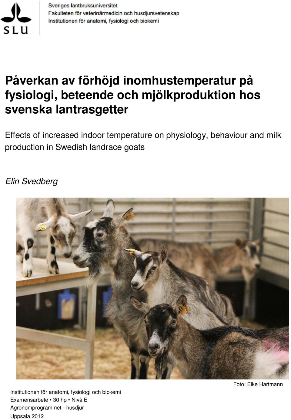 milk production in Swedish landrace goats Elin Svedberg Institutionen för anatomi,