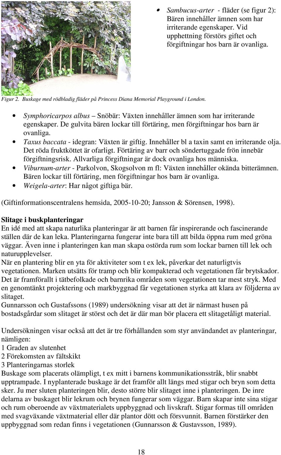 De gulvita bären lockar till förtäring, men förgiftningar hos barn är ovanliga. Taxus baccata - idegran: Växten är giftig. Innehåller bl a taxin samt en irriterande olja.