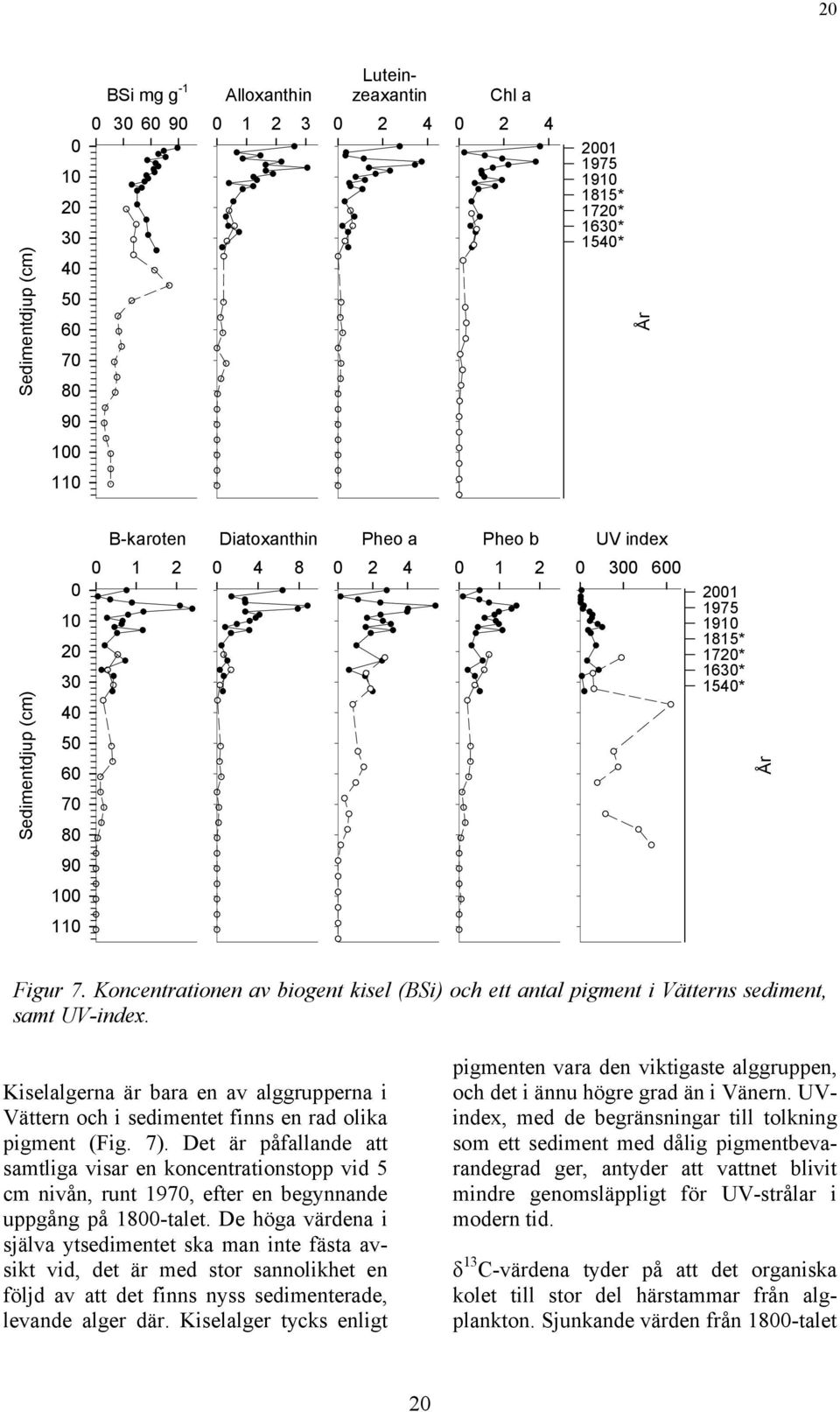 Koncentrationen av biogent kisel (BSi) och ett antal pigment i Vätterns sediment, samt UV-index. Kiselalgerna är bara en av alggrupperna i Vättern och i sedimentet finns en rad olika pigment (Fig. 7).