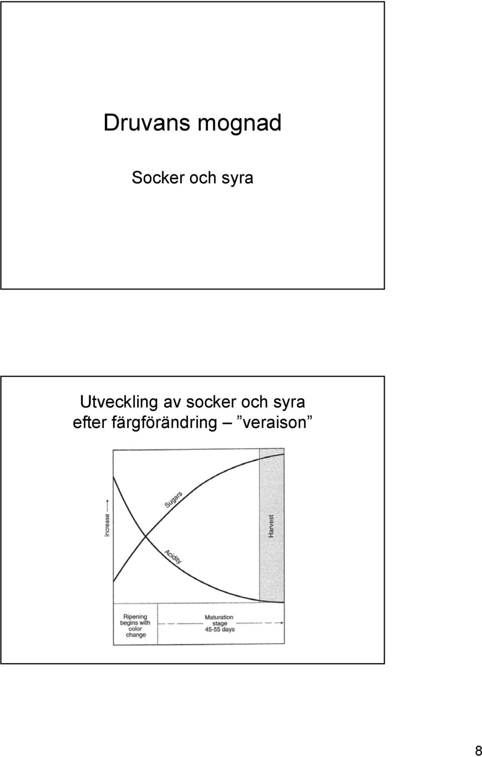 socker och syra efter