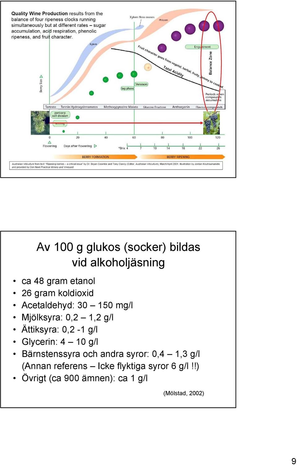 g/l Glycerin: 4 10 g/l Bärnstenssyra och andra syror: 0,4 1,3 g/l (Annan