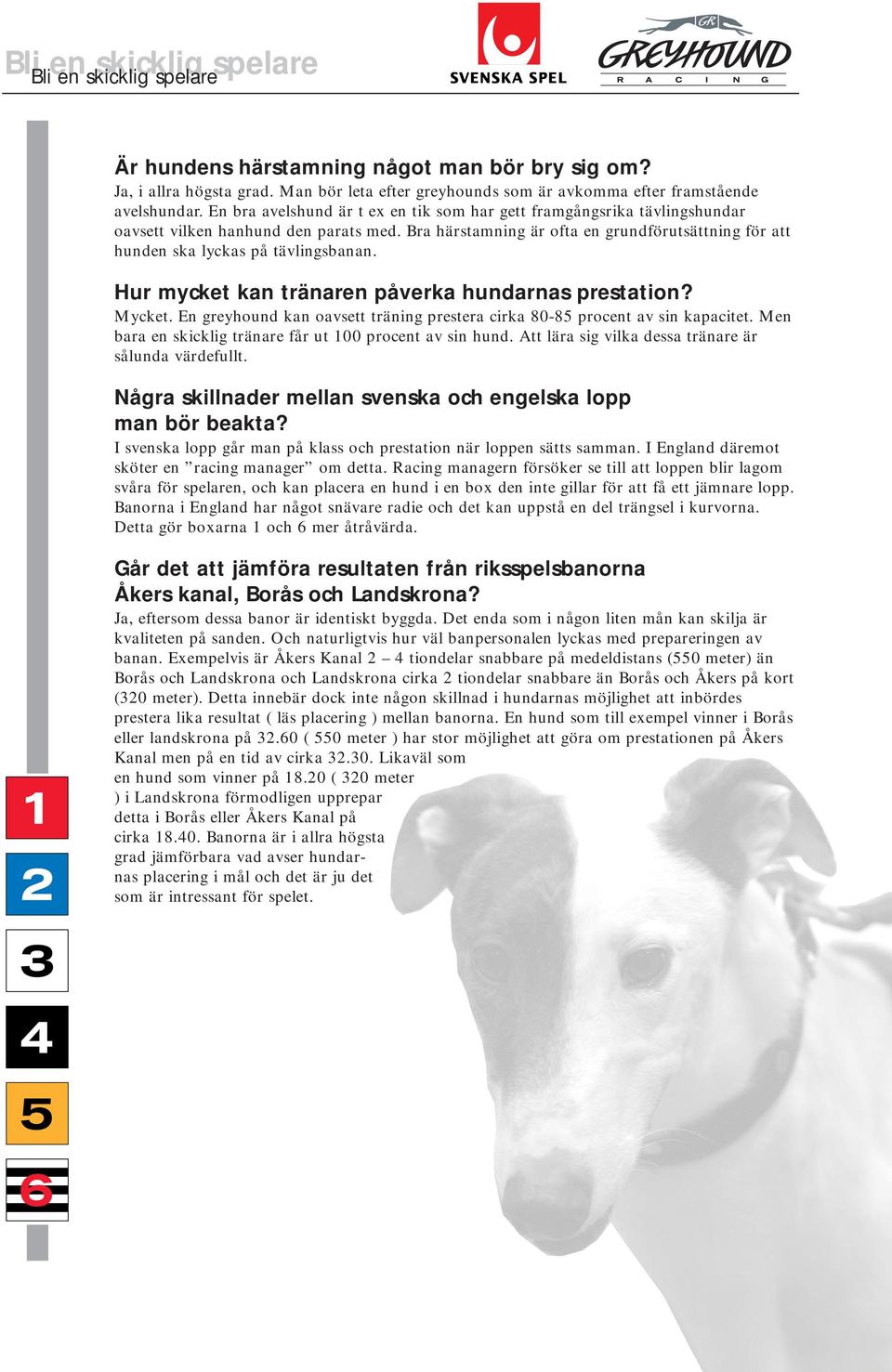 Bra härstamning är ofta en grundförutsättning för att hunden ska lyckas på tävlingsbanan. Hur mycket kan tränaren påverka hundarnas prestation? Mycket.