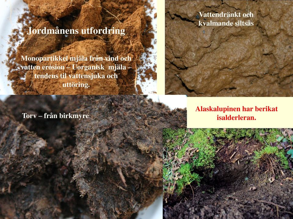 erosion Uorganisk mjäla tendens til vattensjuka och