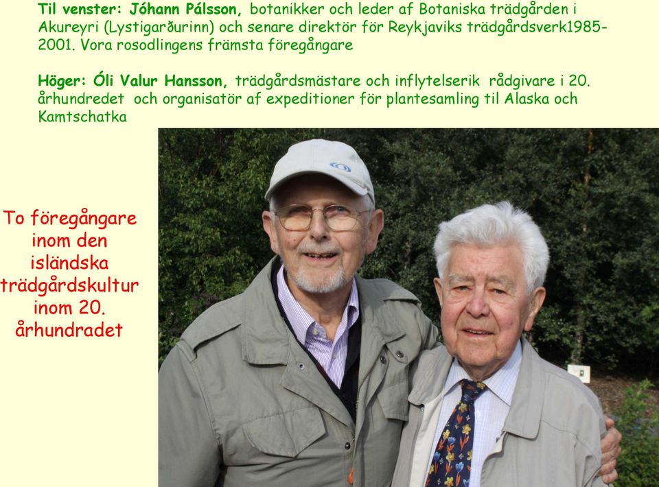 Vora rosodlingens främsta föregångare Höger: Óli Valur Hansson, trädgårdsmästare och inflytelserik rådgivare