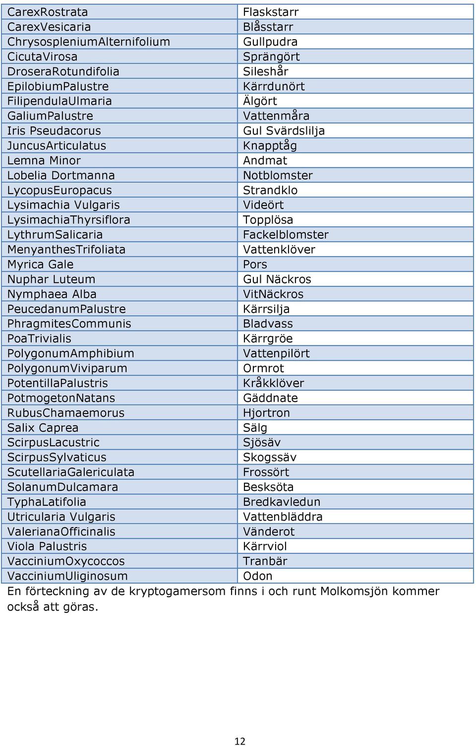 LysimachiaThyrsiflora Topplösa LythrumSalicaria Fackelblomster MenyanthesTrifoliata Vattenklöver Myrica Gale Pors Nuphar Luteum Gul Näckros Nymphaea Alba VitNäckros PeucedanumPalustre Kärrsilja