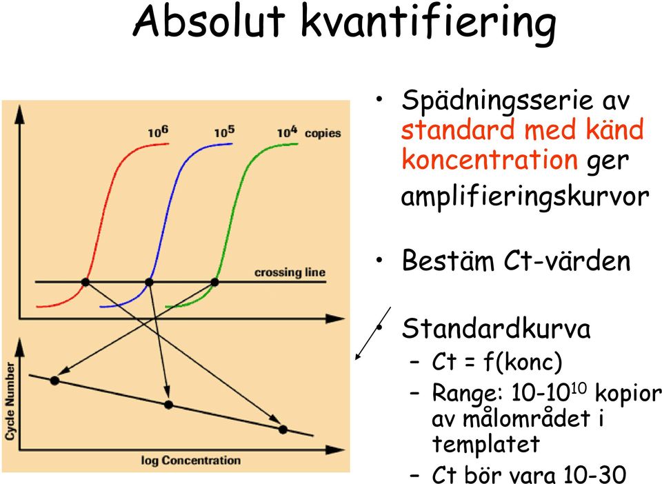 kvantifiering Spädningsserie av standard med känd