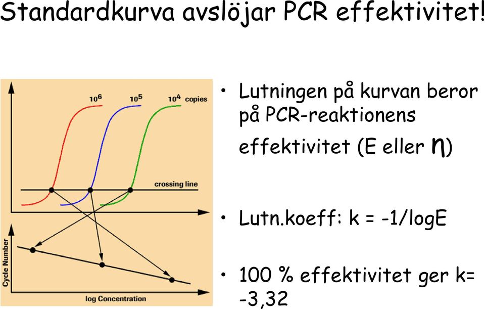 PCR-reaktionens effektivitet (E eller η)