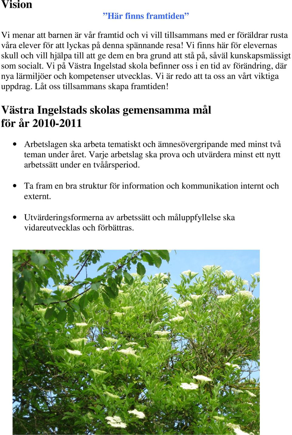 Vi på Västra Ingelstad skola befinner oss i en tid av förändring, där nya lärmiljöer och kompetenser utvecklas. Vi är redo att ta oss an vårt viktiga uppdrag. Låt oss tillsammans skapa framtiden!