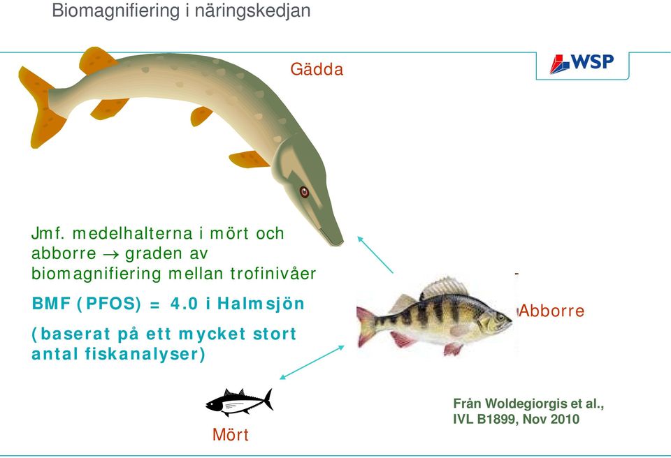 mellan trofinivåer BM (POS) = 4.