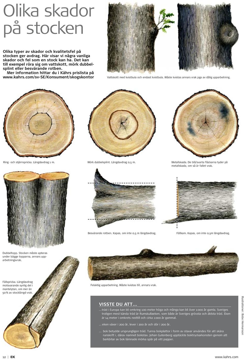 com/sv-se/konsument/skogskontor Vattskott med kvistbula och endast kvistbula. Måste kvistas annars vrak pga av dålig upparbetning. Ring- och stjärnspricka. Längdavdrag 1 m. Mörk dubbelsplint.