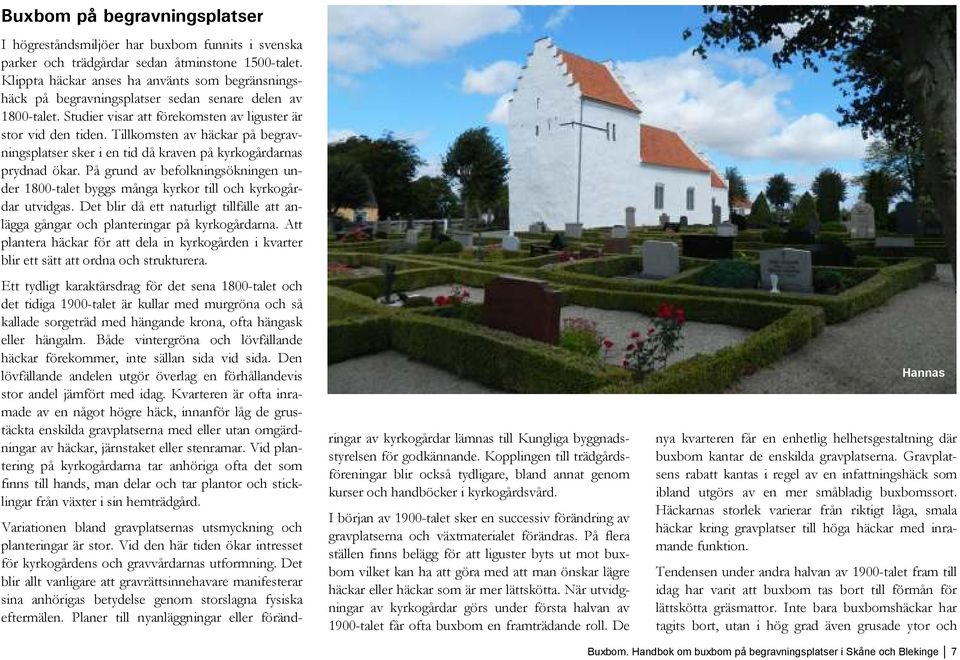 Tillkomsten av häckar på begravningsplatser sker i en tid då kraven på kyrkogårdarnas prydnad ökar. På grund av befolkningsökningen under 1800-talet byggs många kyrkor till och kyrkogårdar utvidgas.