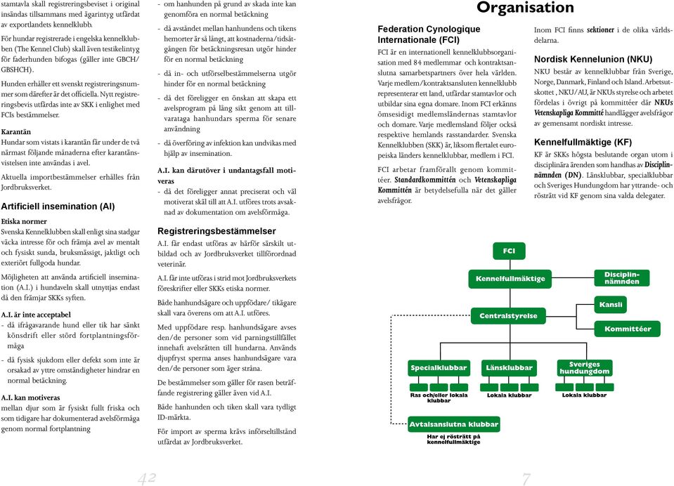 Hunden erhåller ett svenskt registreringsnummer som därefter är det officiella. Nytt registreringsbevis utfärdas inte av SKK i enlighet med FCIs bestämmelser.