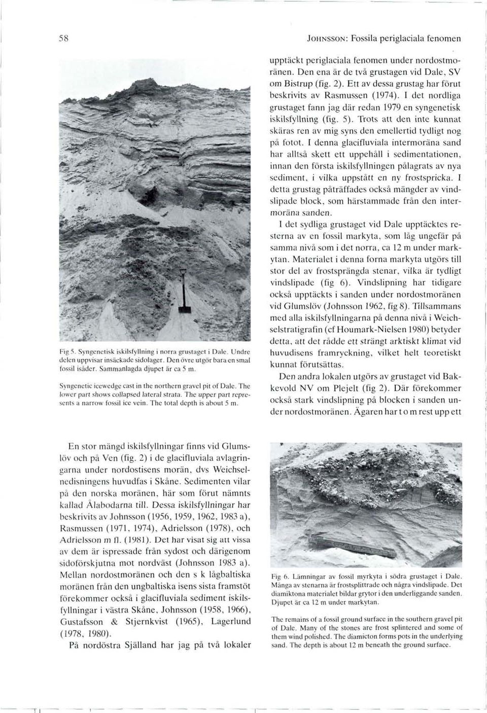 JOHNSSON: Fossila periglaciala fenomen upptåckt periglaciala fenomen under nordostmorånen. Den ena år de två grustagen vid Dale, SV om Bistrup (fig. 2).