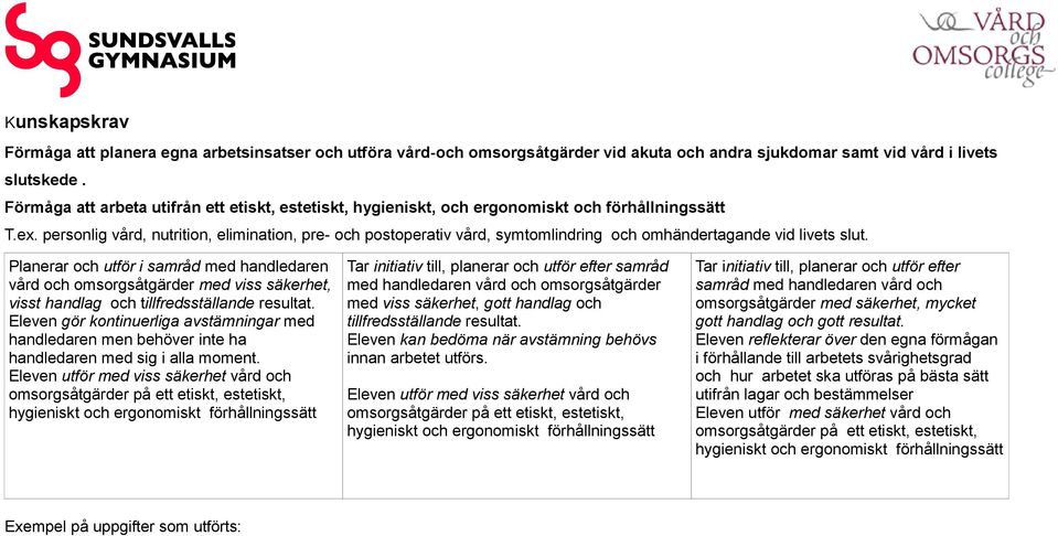 personlig vård, nutrition, elimination, pre- och postoperativ vård, symtomlindring och omhändertagande vid livets slut.