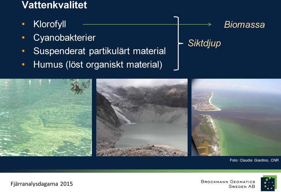 partikulärt material Humus (löst