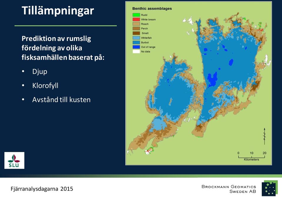 fisksamhällen baserat på: