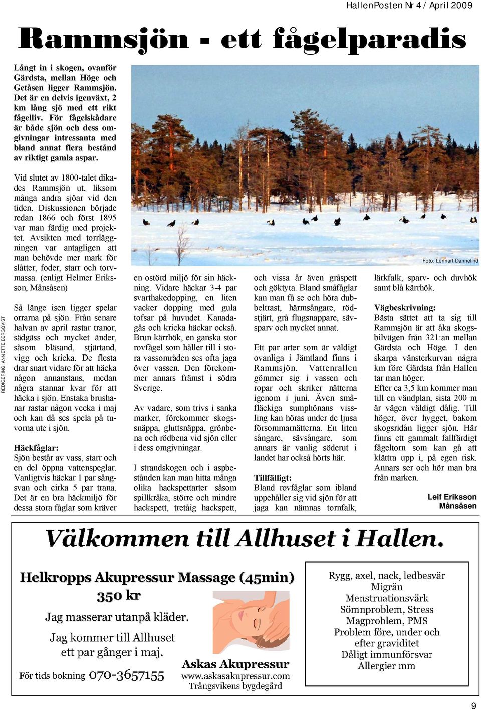 HallenPosten Nr 4 / April 2009 Rammsjön - ett fågelparadis Vid slutet av 1800-talet dikades Rammsjön ut, liksom många andra sjöar vid den tiden.