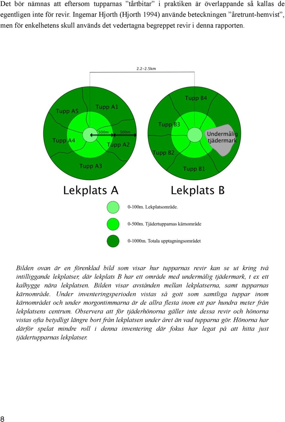 Bilden ovan är en förenklad bild som visar hur tupparnas revir kan se ut kring två intilliggande lekplatser, där lekplats B har ett område med undermålig tjädermark, t ex ett kalhygge nära lekplatsen.