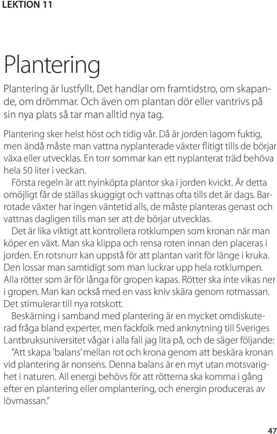 En torr sommar kan ett nyplanterat träd behöva hela 50 liter i veckan. Första regeln är att nyinköpta plantor ska i jorden kvickt.