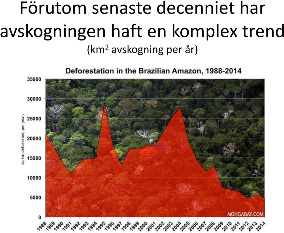 avskogningen haft en