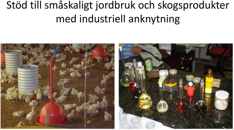 jordbruk och