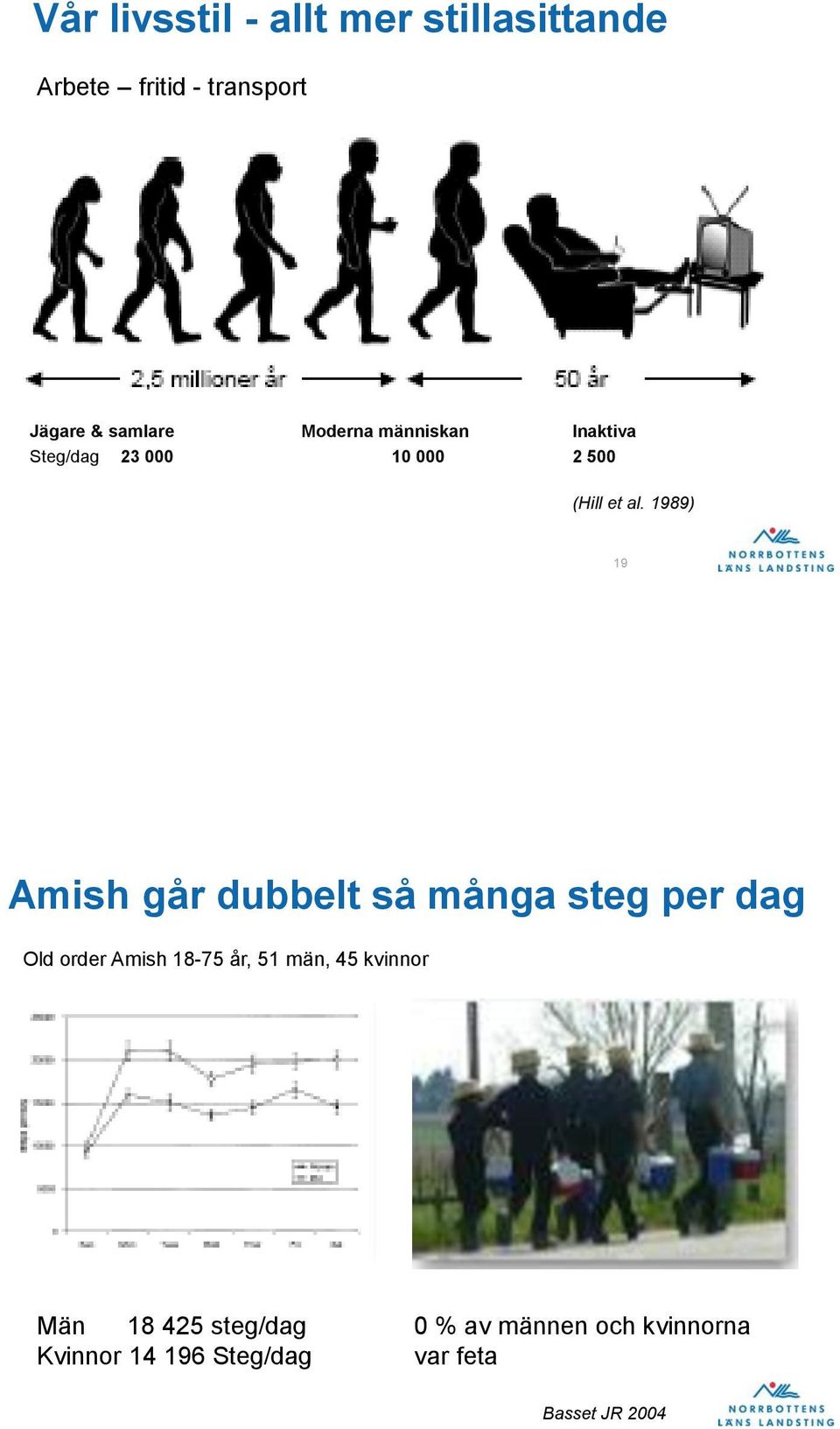 1989) 19 Amish går dubbelt så många steg per dag Old order Amish 18-75 år, 51 män,