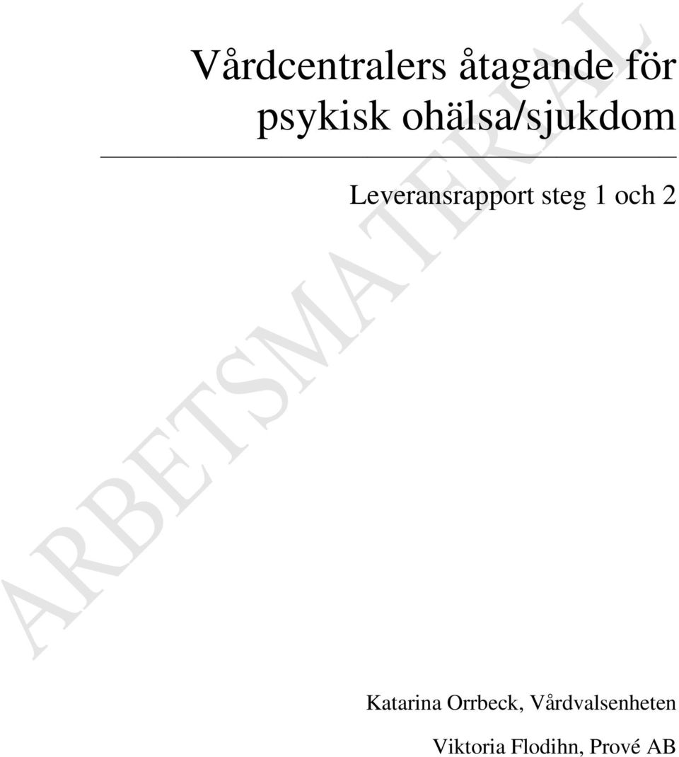 Leveransrapport steg 1 och 2