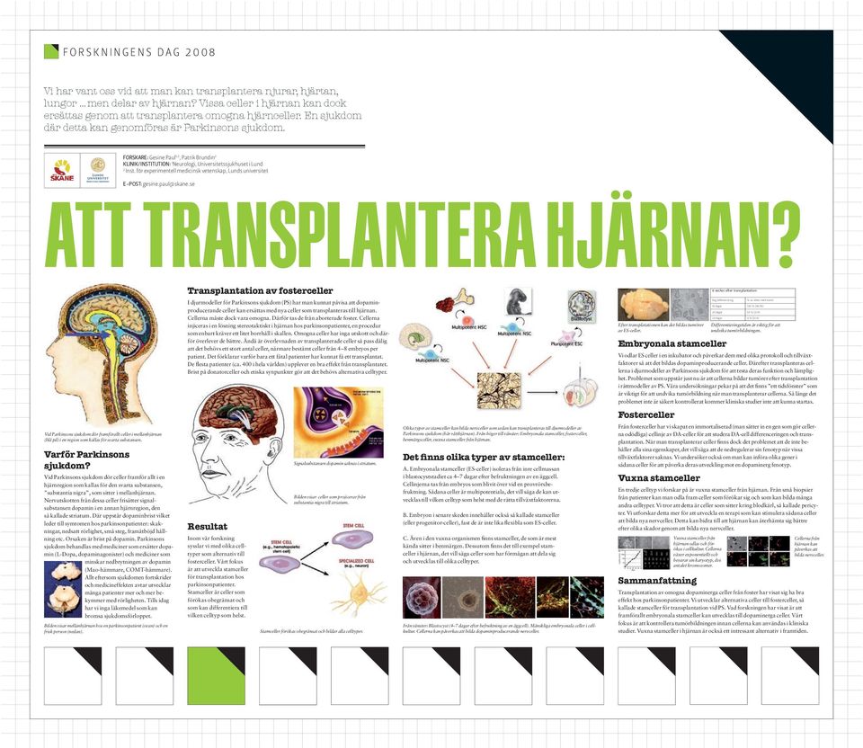 för experimentell medicinsk vetenskap, Lunds universitet E-POST: gesine.paul@skane.se Att transplantera hjärnan?