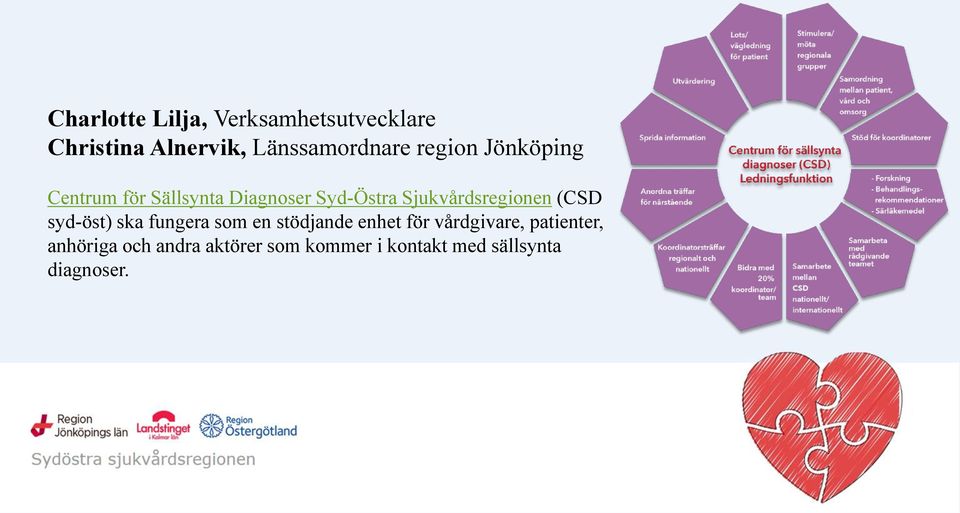 Sjukvårdsregionen (CSD syd-öst) ska fungera som en stödjande enhet för