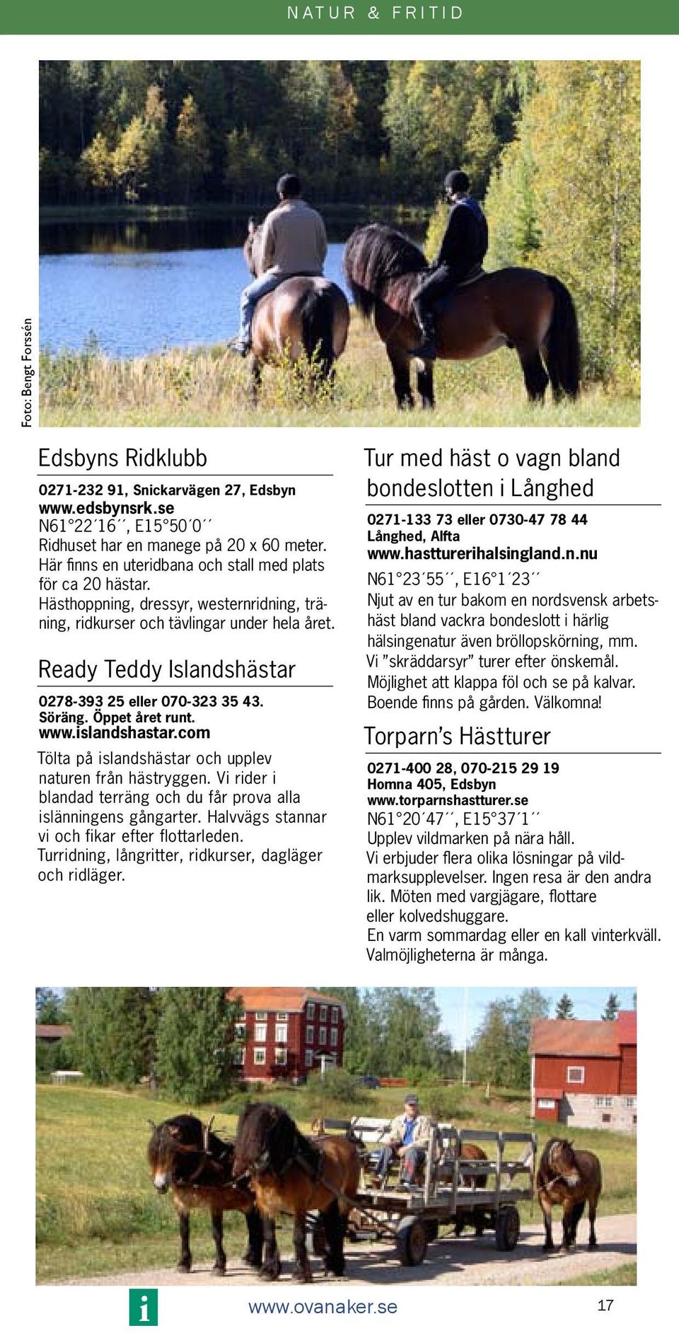 Ready Teddy Islandshästar 0278-393 25 eller 070-323 35 43. Söräng. Öppet året runt. www.islandshastar.com Tölta på islandshästar och upplev naturen från hästryggen.