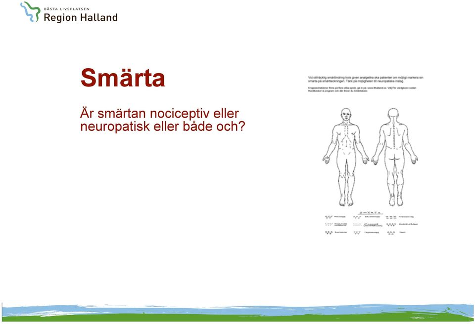 nociceptiv