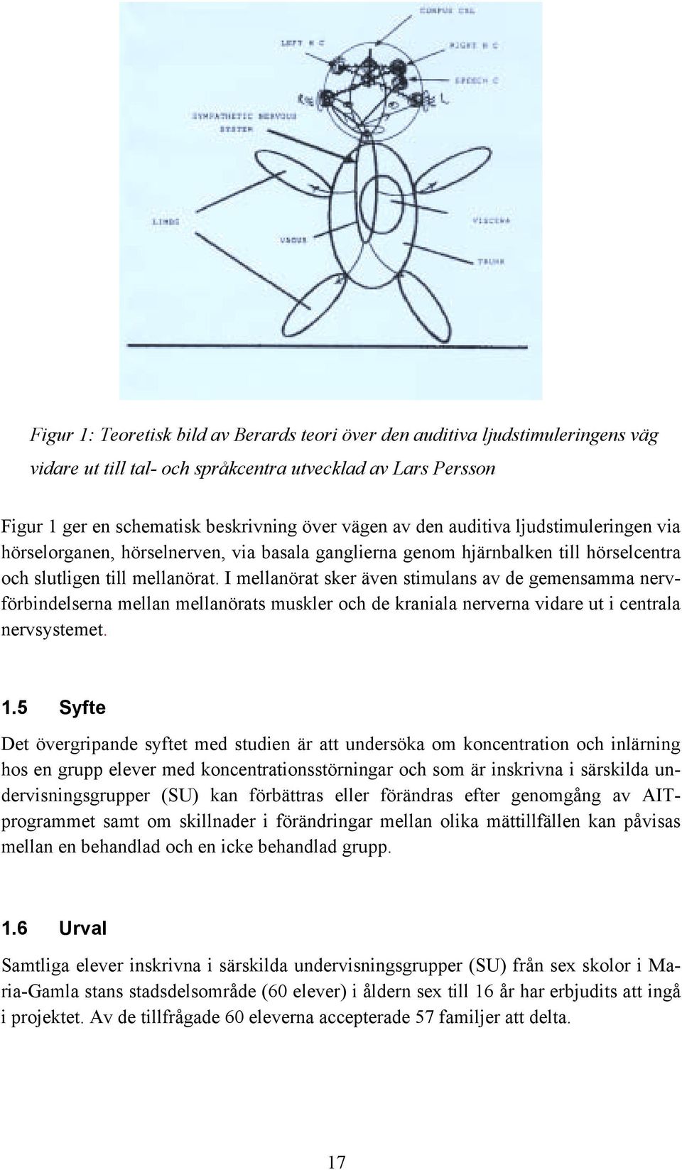 I mellanörat sker även stimulans av de gemensamma nervförbindelserna mellan mellanörats muskler och de kraniala nerverna vidare ut i centrala nervsystemet. 1.