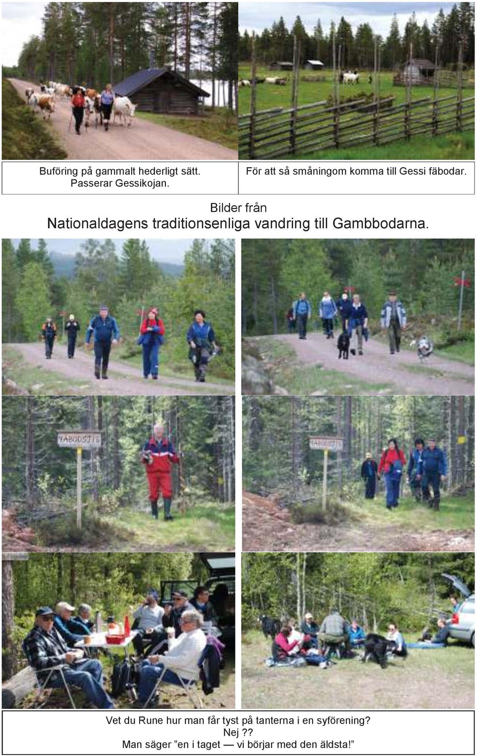 Bilder från Nationaldagens traditionsenliga vandring till Gambbodarna.