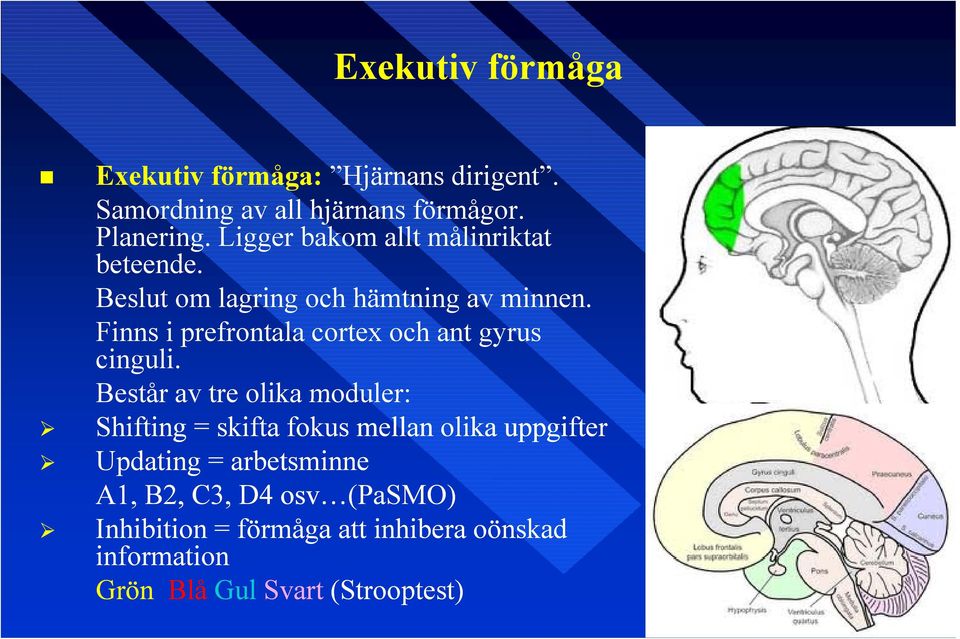 Finns i prefrontala cortex och ant gyrus cinguli.